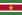 Flag of Suriname